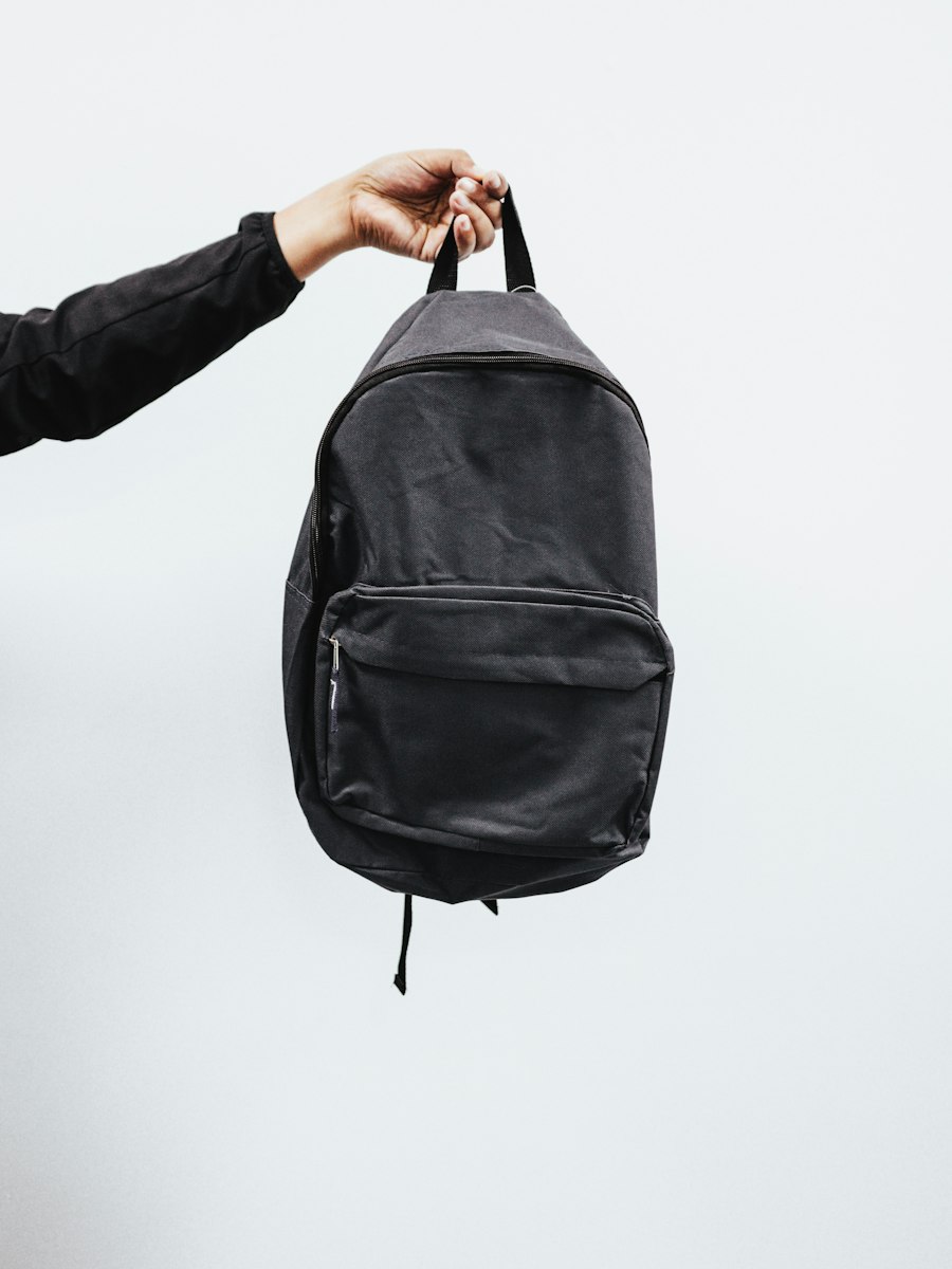Everyday Backpack 2