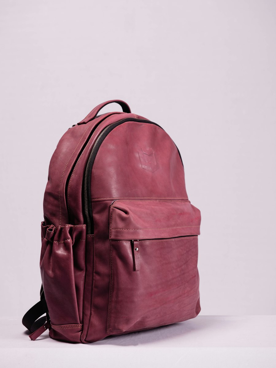 Everyday Backpack 3