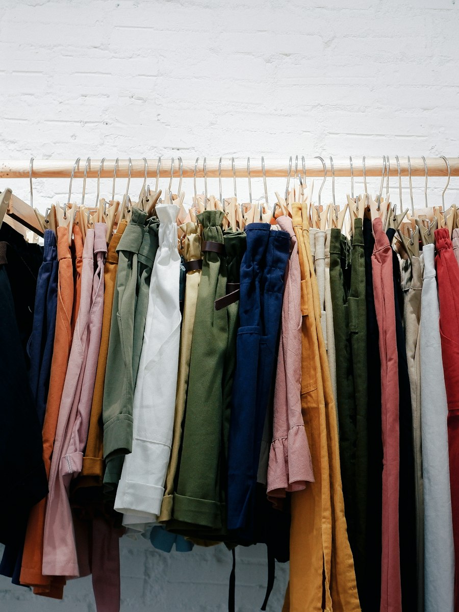 Pleated Trousers